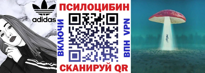 Галлюциногенные грибы мицелий  Купить закладки  Мглин 